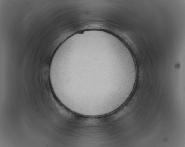 X0000091971233200710041042