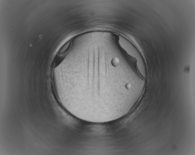 X0000091971235200710041042