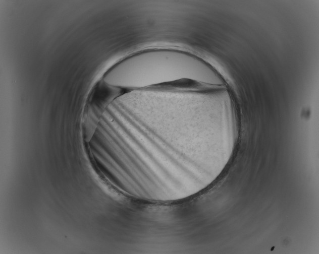 X0000091971237200710041042