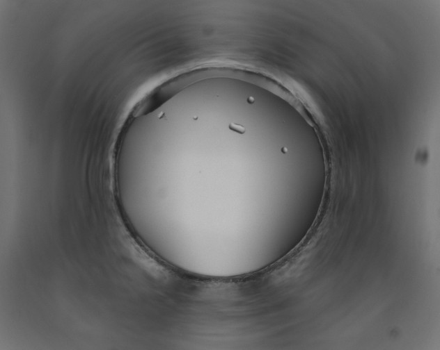 X0000091971238200710041042