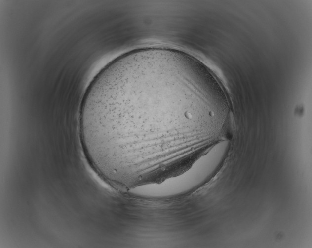 X0000091971239200710041042
