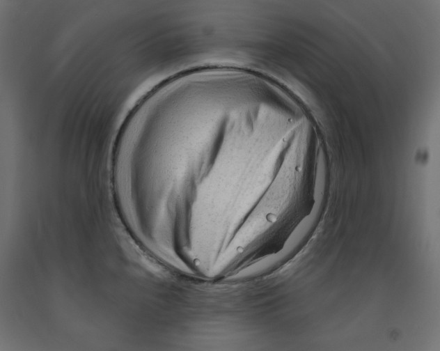 X0000091971240200710041042