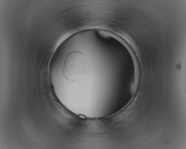 X0000091971242200710041042