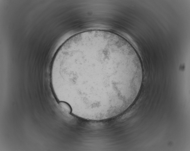 X0000091971243200710041042
