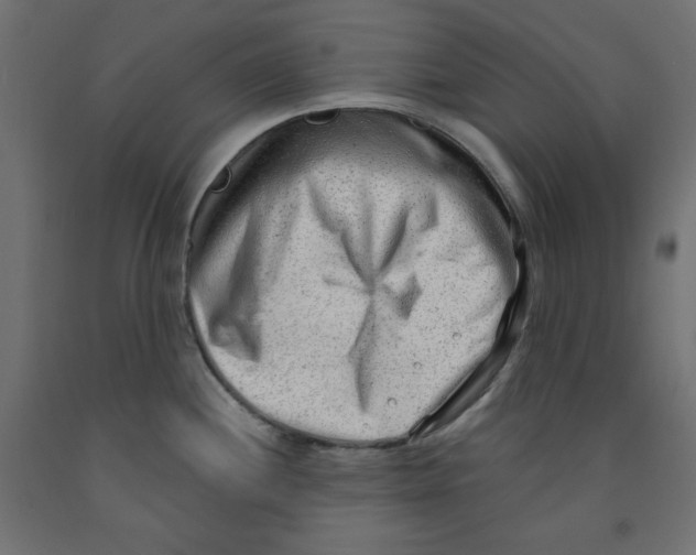 X0000091971244200710041042