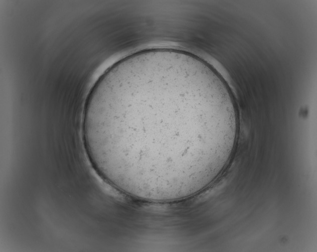 X0000091971245200710041042