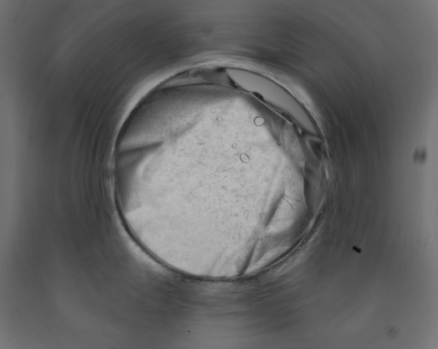 X0000091971247200710041042