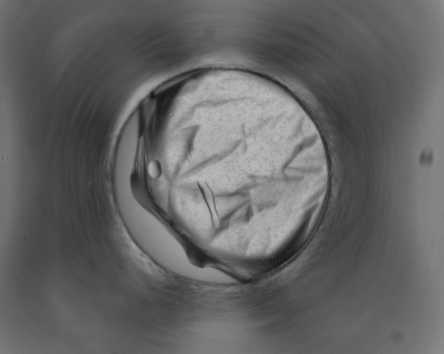 X0000091971248200710041042