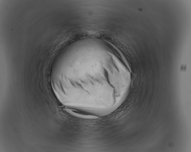 X0000091971249200710041042