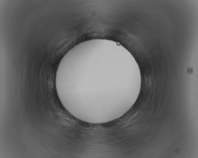 X0000091971250200710041042