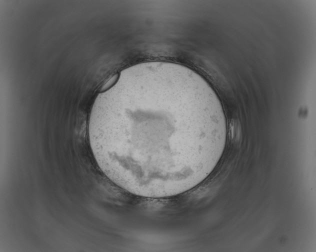 X0000091971251200710041042
