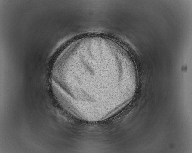 X0000091971256200710041042