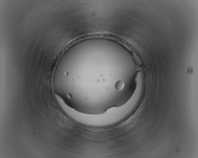 X0000091971257200710041042