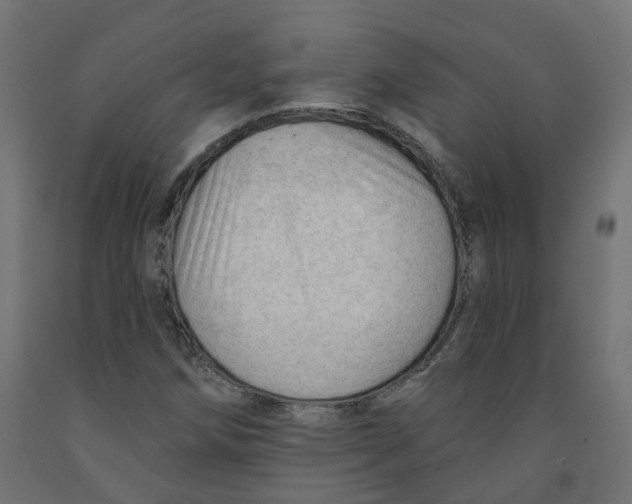 X0000091971258200710041042