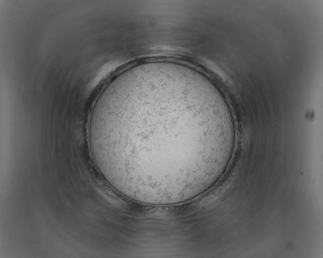 X0000091971259200710041042