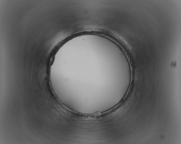 X0000091971261200710041042