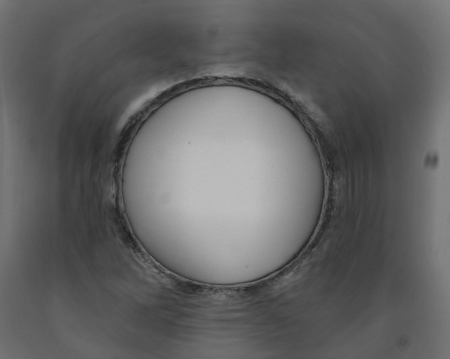 X0000091971262200710041042
