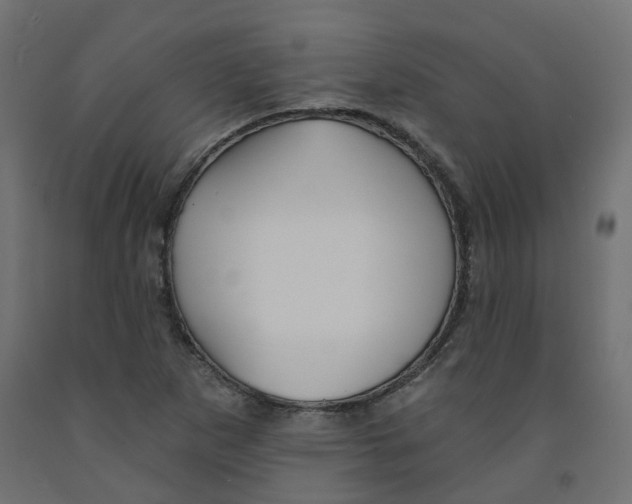 X0000091971265200710041042