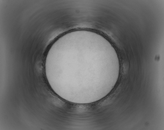 X0000091971266200710041042