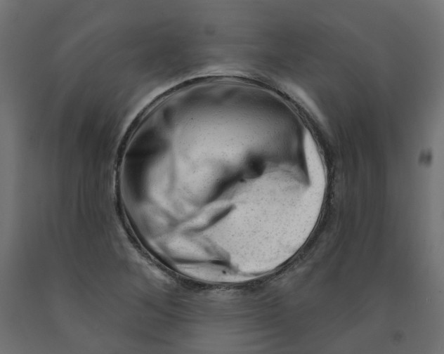 X0000091971268200710041042