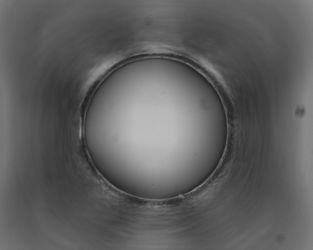 X0000091971269200710041042