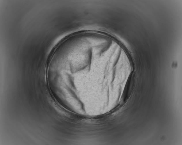 X0000091971272200710041042