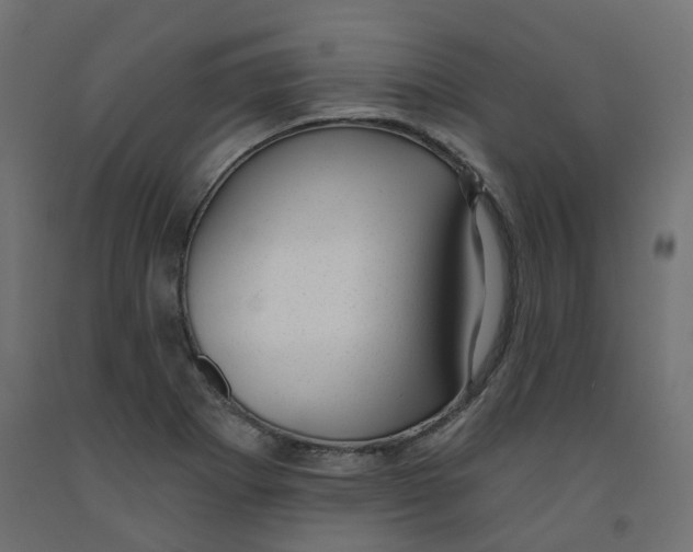 X0000091971273200710041042