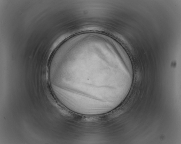 X0000091971274200710041041