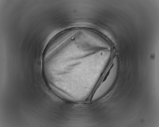 X0000091971275200710041041