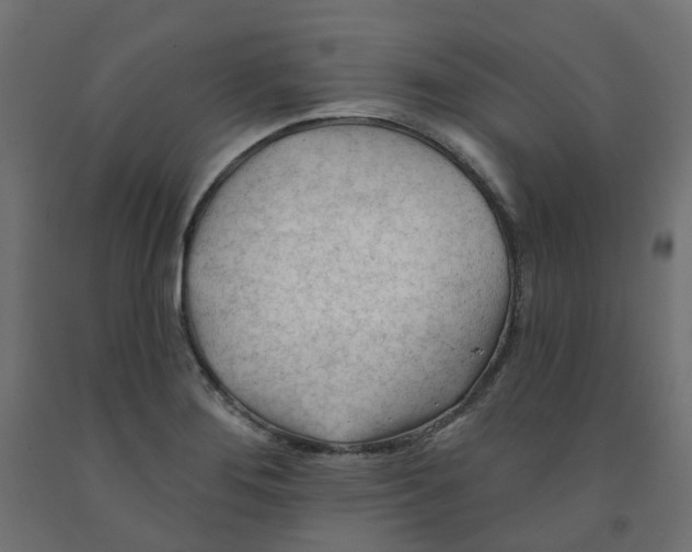 X0000091971276200710041041