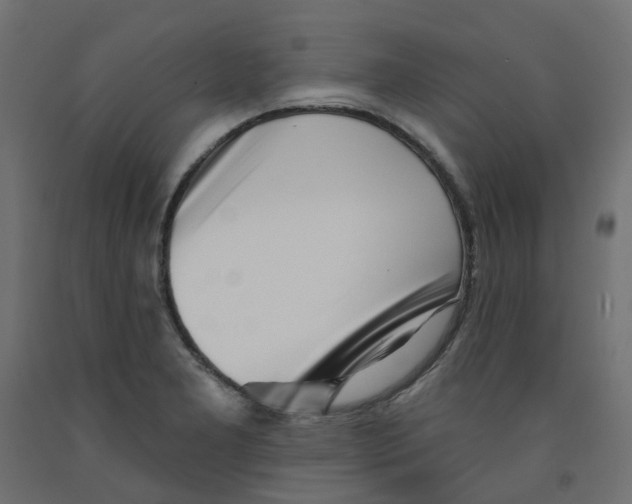 X0000091971277200710041041