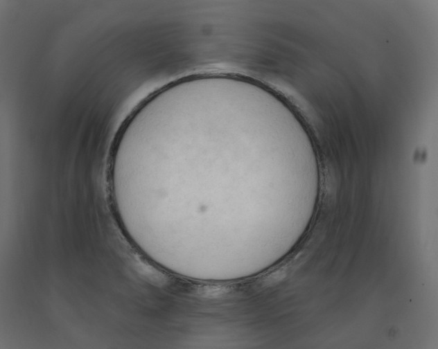 X0000091971278200710041041