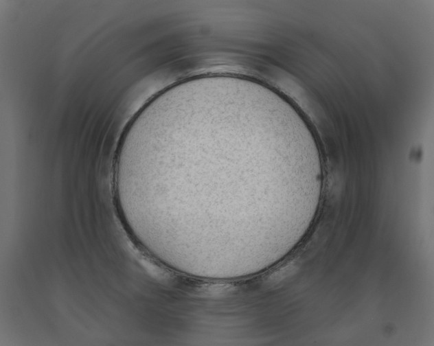 X0000091971282200710041041