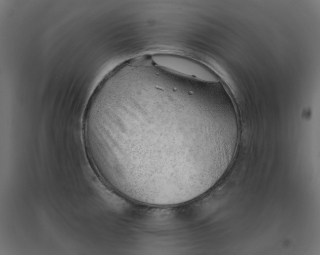 X0000091971283200710041041