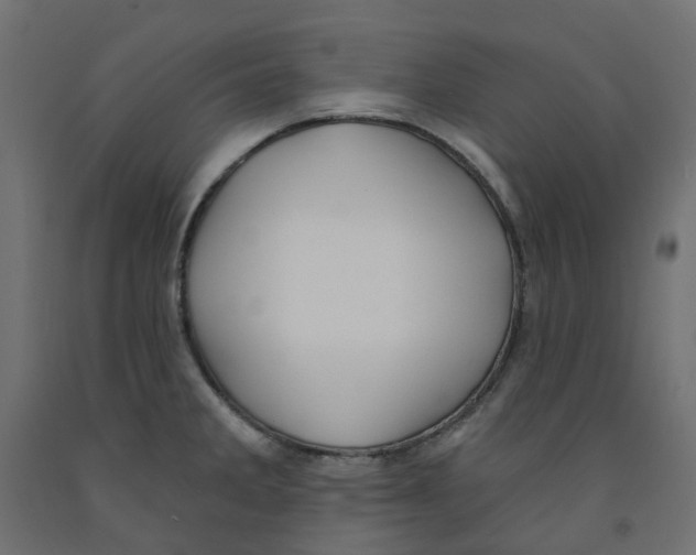 X0000091971285200710041041