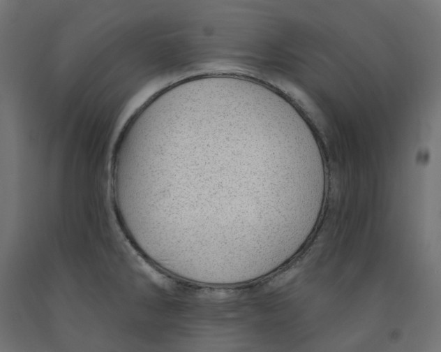 X0000091971286200710041041