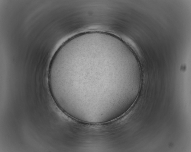 X0000091971288200710041041