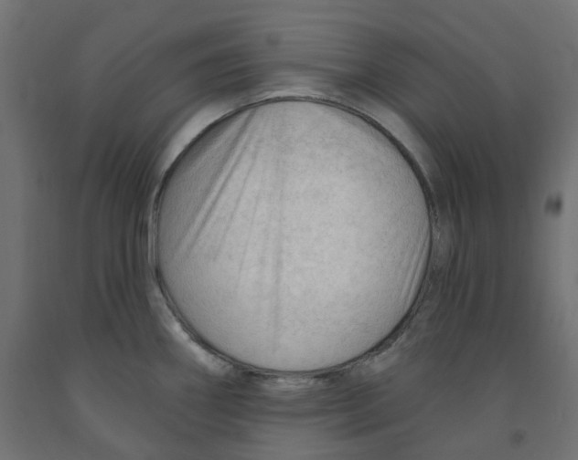 X0000091971290200710041041
