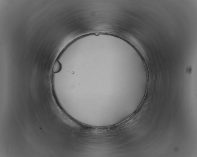 X0000091971291200710041041