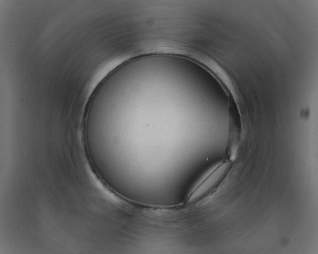 X0000091971293200710041041