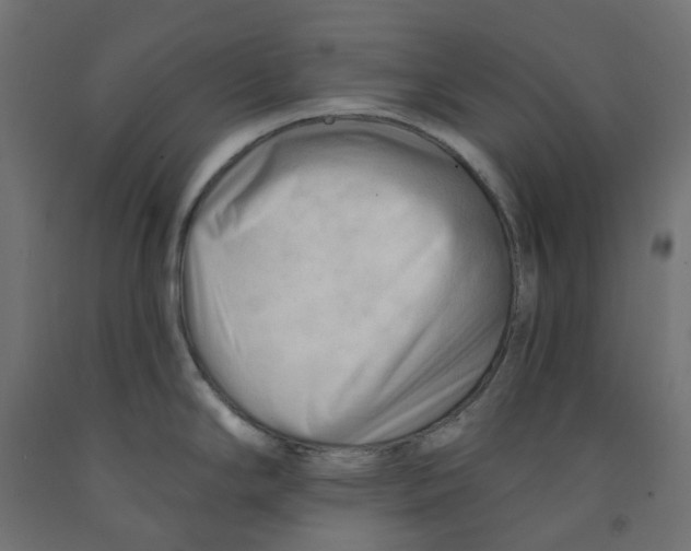 X0000091971294200710041041