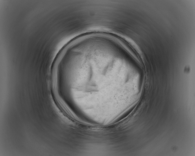 X0000091971295200710041041