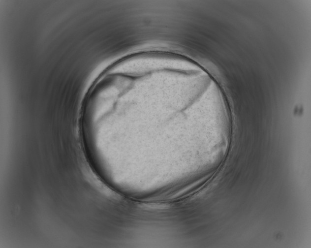 X0000091971296200710041041