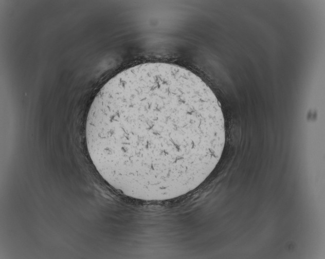 X0000091971297200710041041