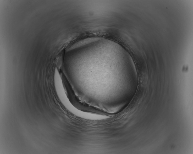 X0000091971298200710041041