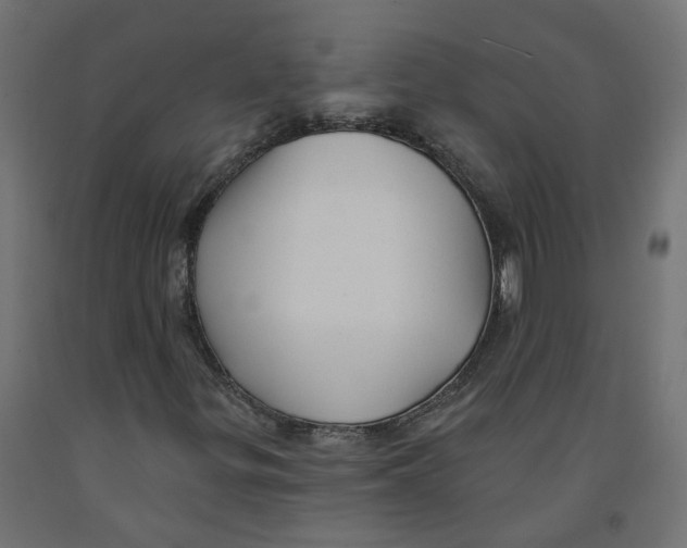 X0000091971299200710041041