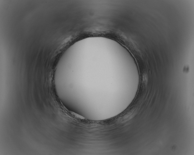 X0000091971300200710041041
