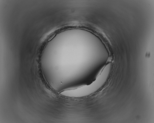 X0000091971304200710041041
