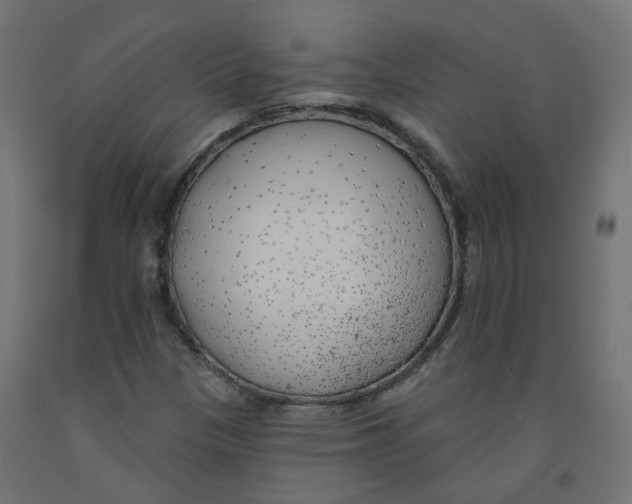X0000091971305200710041041