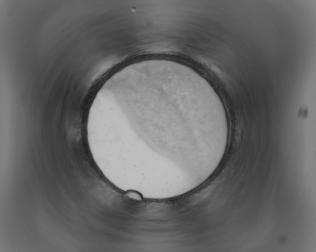 X0000091971306200710041041
